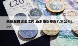 新朋股份资金流向,新朋股份参股几家公司ipo