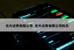 光大证券有限公司_光大证券有限公司陈杰