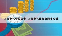 上海电气个股资金_上海电气现在每股多少钱