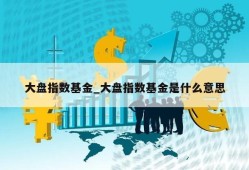 大盘指数基金_大盘指数基金是什么意思