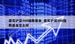 嘉实沪深300指数基金_嘉实沪深300指数基金怎么样