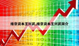 维京资本王兴武,维京资本王兴武简介