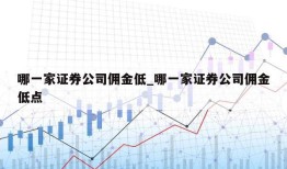 哪一家证券公司佣金低_哪一家证券公司佣金低点