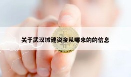 关于武汉城建资金从哪来的的信息