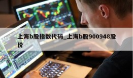 上海b股指数代码_上海b股900948股价