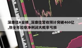 深康佳A业绩_深康佳营收预计突破460亿,但全年扣非净利润大概率亏损