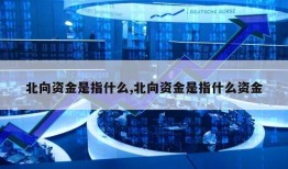 北向资金是指什么,北向资金是指什么资金