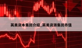 英美资本集团介绍_英美资源集团市值