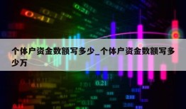 个体户资金数额写多少_个体户资金数额写多少万