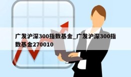 广发沪深300指数基金_广发沪深300指数基金270010