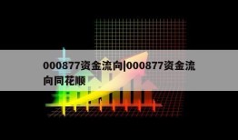 000877资金流向|000877资金流向同花顺