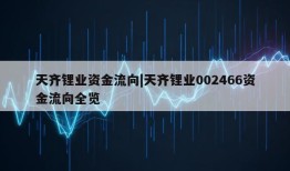 天齐锂业资金流向|天齐锂业002466资金流向全览