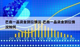 巴南一品资金到位情况-巴南一品资金到位情况如何