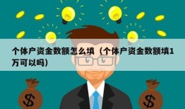 个体户资金数额怎么填（个体户资金数额填1万可以吗）