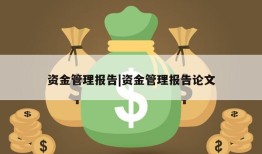 资金管理报告|资金管理报告论文