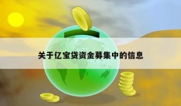 关于亿宝贷资金募集中的信息