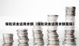 保险资金运用余额（保险资金运用余额是指）