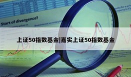 上证50指数基金|嘉实上证50指数基金