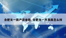 合肥文一房产资金链_合肥文一开发商怎么样