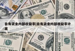 自有资金内部收益率|自有资金内部收益率计算