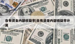 自有资金内部收益率|自有资金内部收益率计算