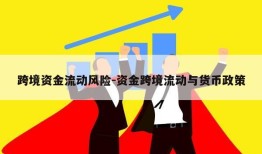 跨境资金流动风险-资金跨境流动与货币政策