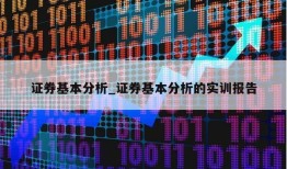 证券基本分析_证券基本分析的实训报告