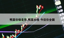 鸭苗价格走势,鸭苗价格 今日价全国