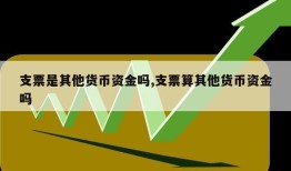 支票是其他货币资金吗,支票算其他货币资金吗