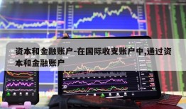 资本和金融账户-在国际收支账户中,通过资本和金融账户