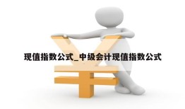 现值指数公式_中级会计现值指数公式