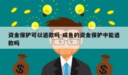 资金保护可以退款吗-咸鱼的资金保护中能退款吗