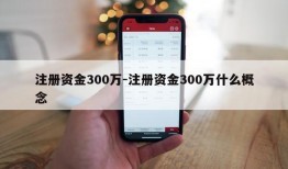 注册资金300万-注册资金300万什么概念