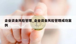 企业资金风险管理_企业资金风险管理成功案例