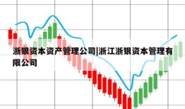 浙银资本资产管理公司|浙江浙银资本管理有限公司