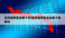 定投指数基金哪个好|定投指数基金选哪个指数好