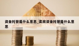 资金托管是什么意思_卖房资金托管是什么意思