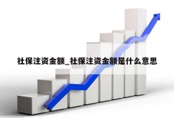 社保注资金额_社保注资金额是什么意思