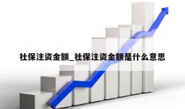 社保注资金额_社保注资金额是什么意思