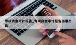 专项资金审计报告_专项资金审计报告由谁出具