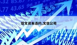 信文资本违约,文信公司