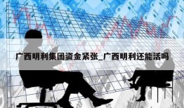 广西明利集团资金紧张_广西明利还能活吗