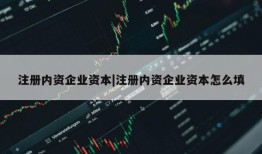 注册内资企业资本|注册内资企业资本怎么填