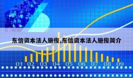 东信资本法人施俊,东信资本法人施俊简介