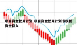 项目资金使用计划-项目资金使用计划书模板资金投入