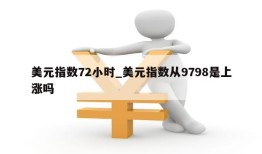 美元指数72小时_美元指数从9798是上涨吗