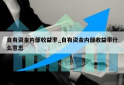 自有资金内部收益率_自有资金内部收益率什么意思