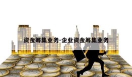 资金筹集业务-企业资金筹集业务