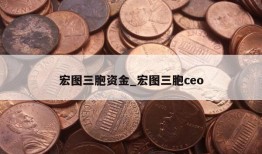 宏图三胞资金_宏图三胞ceo