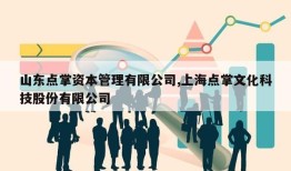 山东点掌资本管理有限公司,上海点掌文化科技股份有限公司